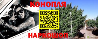 дживик Можга