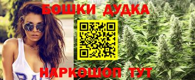дживик Можга