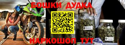 дживик Можга