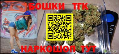 дживик Можга