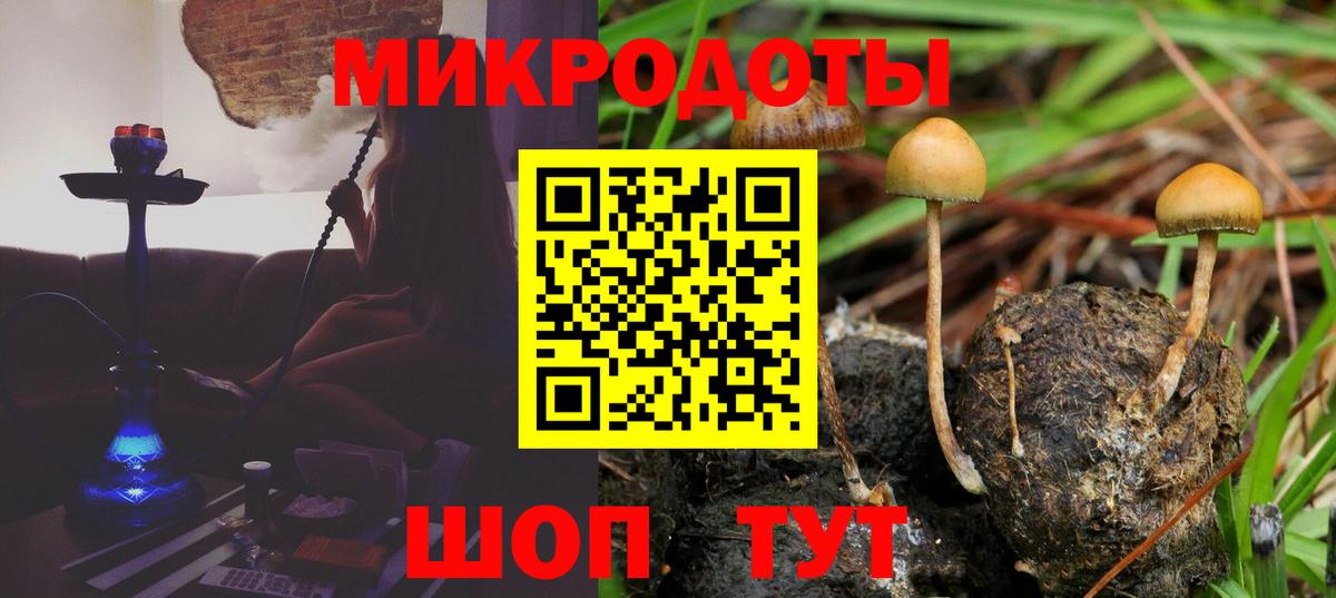 Галлюциногенные грибы ЛСД Тамбов