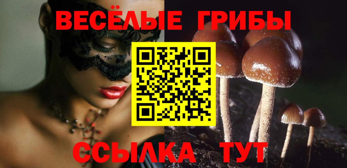 Галлюциногенные грибы мицелий  Галлюциногенные грибы мицелий  Вход с VPN  Тамбов 